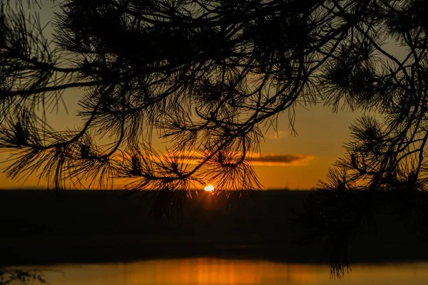 Schöne Landschaft Mit See Und Bäumen Erstaunliche Natur Europa Schöner — Stockfoto