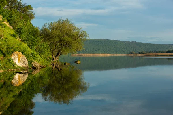 Beautiful Landscape Lake Trees Amazing Nature Europe Lovely Place Visit — Stock Photo, Image