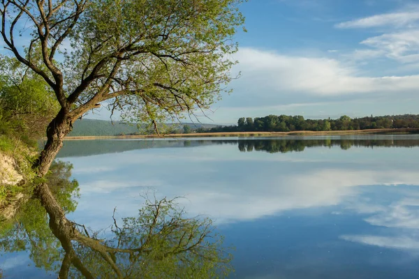 Göl Ağaçlarla Güzel Bir Manzara Avrupa Nanılmaz Doğa Yaz Ziyaret — Stok fotoğraf
