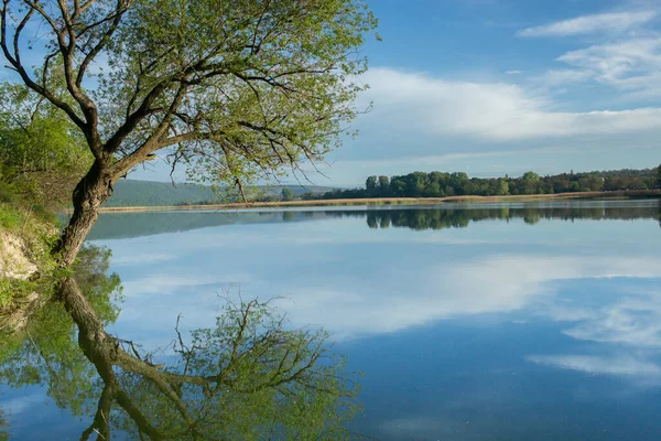 Göl Ağaçlarla Güzel Bir Manzara Avrupa Nanılmaz Doğa Yaz Ziyaret — Stok fotoğraf