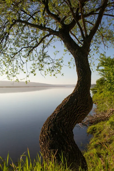 Hermoso Paisaje Con Lago Árboles Increíble Naturaleza Europa Hermoso Lugar — Foto de Stock
