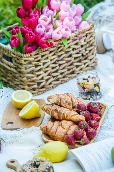 Outdoors Picnic Lush Green Park Tasty Croissant Fruits Donuts Wine — Stock fotografie