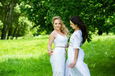 İki kız parkta piknik battaniyesinde dinleniyor. Arkadaşlar dışarıda meyve ve şarapla piknik yapıyorlar. Doğada sarışın ve esmer bir kız..