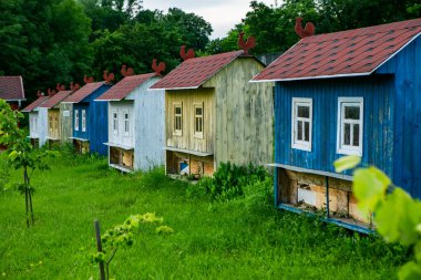Kırsal bölgedeki yeşil çayırlarda renkli arı evleri. Bal arısı kovanı. Güzel küçük dekoratif evler.