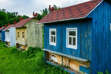 Kırsal bölgedeki yeşil çayırlarda renkli arı evleri. Bal arısı kovanı. Güzel küçük dekoratif evler.