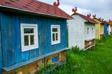 Kırsal bölgedeki yeşil çayırlarda renkli arı evleri. Bal arısı kovanı. Güzel küçük dekoratif evler.