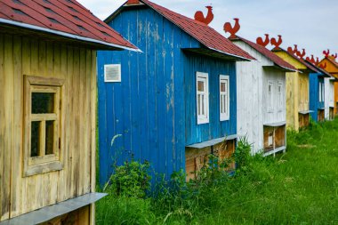 Kırsal bölgedeki yeşil çayırlarda renkli arı evleri. Bal arısı kovanı. Güzel küçük dekoratif evler.