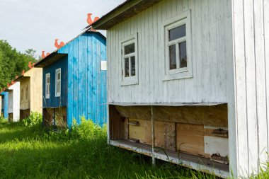 Kırsal bölgedeki yeşil çayırlarda renkli arı evleri. Bal arısı kovanı. Güzel küçük dekoratif evler.