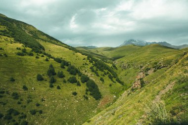 Gürcistan 'daki Kafkasya Dağları' ndan güzel bir manzara fotoğrafı.