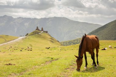 Gürcistan 'daki Kafkasya Dağları' ndan güzel bir manzara fotoğrafı.