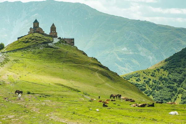 그루지야의 카프카스 아름다운 — 스톡 사진