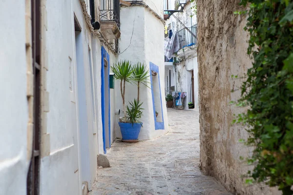 Architecture Island Ibiza Charming Empty White Street Old Town Eivissa — Stock Photo, Image