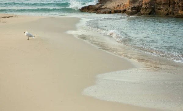 Όμορφη Παραλία Πολύ Καθαρά Και Γαλανά Νερά Στη Μεσόγειο Θάλασσα — Φωτογραφία Αρχείου