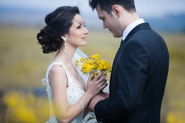 Sensuell bröllopsparet, brudgummen och bruden. Håller varandra — Stockfoto