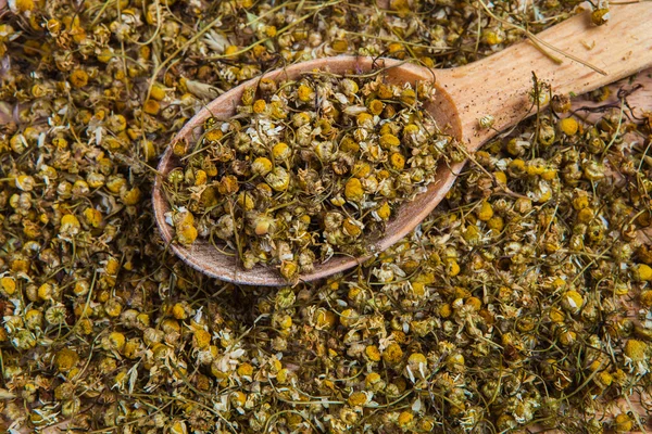 Dried chamomile tea with spoon — Stock Photo, Image