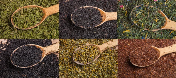Verschiedene Teesorten: grün, schwarz, Kamille, Minze, Rooibos — Stockfoto