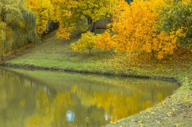 Beautiful autumn landscape with colorful foliage and calm lake reflections. Natural seasonal background with warm golden tones.