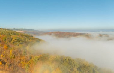 Moldova Cumhuriyeti 'nin büyülü sonbahar manzarası, altın ormanları ve huzurlu Doğu Avrupa cazibesiyle