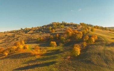 Moldova Cumhuriyeti 'nin büyülü sonbahar manzarası, altın ormanları ve huzurlu Doğu Avrupa cazibesiyle