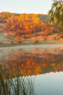 Moldova Cumhuriyeti 'nin büyülü sonbahar manzarası, altın ormanları ve huzurlu Doğu Avrupa cazibesiyle