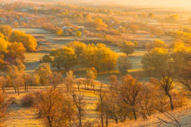 Moldova Cumhuriyeti 'nin büyülü sonbahar manzarası, altın ormanları ve huzurlu Doğu Avrupa cazibesiyle