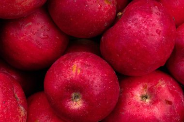 Massive Pile of Taze Hasat Edilmiş Elmalar. Bahçede bol miktarda kırmızı elma var.. 