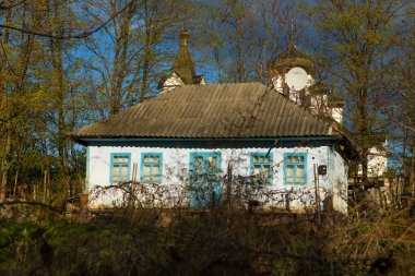 Moldova Cumhuriyeti 'ndeki huzurlu sonbahar manzarası. Renkli ormanlar, altın ağaçlar ve yumuşak güneş ışığı.