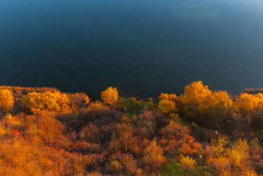Moldova Cumhuriyeti 'ndeki huzurlu sonbahar manzarası. Renkli ormanlar, altın ağaçlar ve yumuşak güneş ışığı.