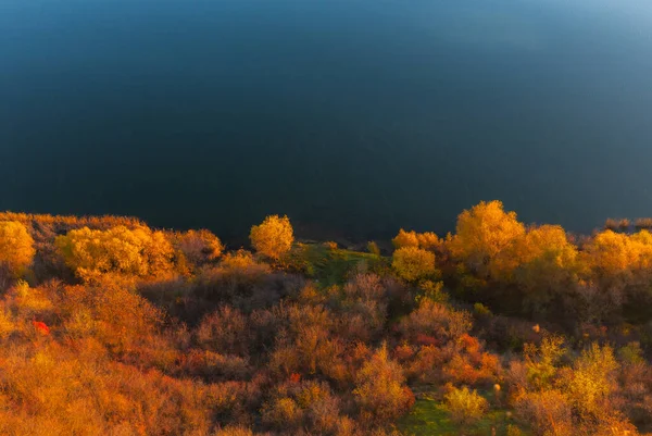 Moldova Cumhuriyeti 'ndeki huzurlu sonbahar manzarası. Renkli ormanlar, altın ağaçlar ve yumuşak güneş ışığı.