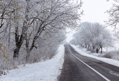 Kış manzarası. Karlı bir tarlada karla kaplı ağaçlar.