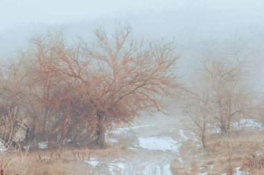 Moldova 'da Pastel Nehri Sahnesi, Rüya Masalı Doğa Tasarımı Arkaplanı ile Sinematik Bahar Alanı