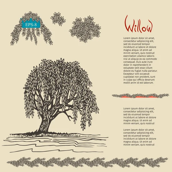 Arbre à saules décoratif dessiné à la main. Illustration vectorielle — Image vectorielle