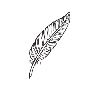 el çekilmiş siyah beyaz tüy 