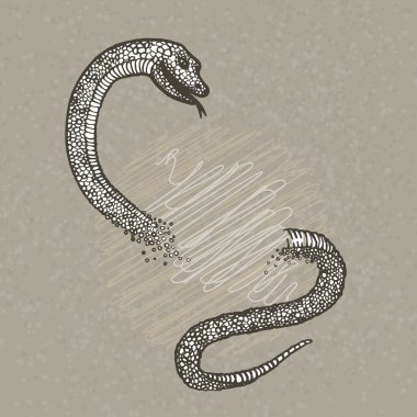 Elle çizilmiş vektör yılan.