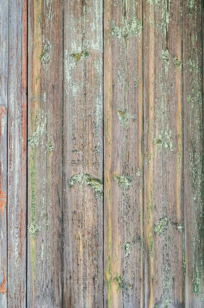 Old Wooden Background Natural Patterns — Stock Photo, Image