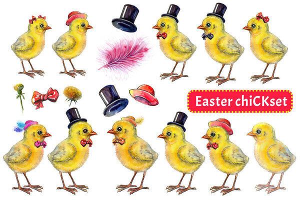 Hand-drawn Easter set of yellow fluffy chickens, hats, grass and dandelions. Chickens in different hats or with a bows on heads