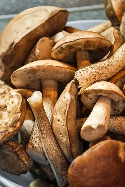 Bir tutam taze mantar, yakın çekim. 