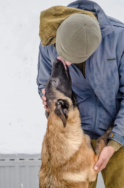 Hond Met Zijn Eigenaar Binnenplaats Ulyanovsk — Stockfoto