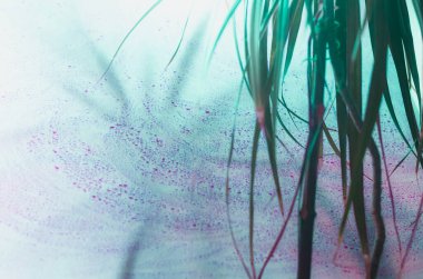 parlak pembe ve mavi renklerin soyut arkaplanı