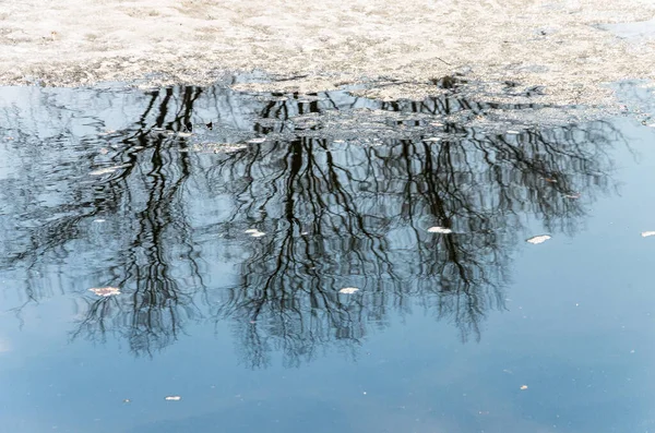 Замерзшая Река Лед Зимний Пейзаж Холодный День — стоковое фото