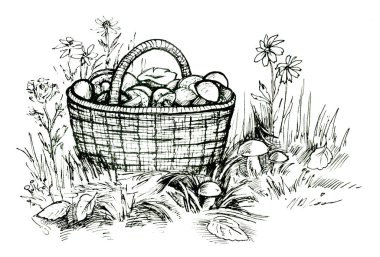 Bir orman çayırında mantar dolu sepetin çizimi.