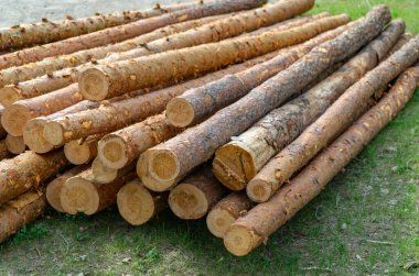 arkaplan için odun kütükleri istiflenmiş, ahşap doku.