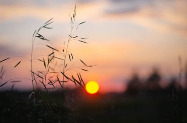 Gün batımlı güzel doğa arka planı