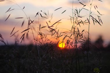 Gün batımlı güzel doğa arka planı
