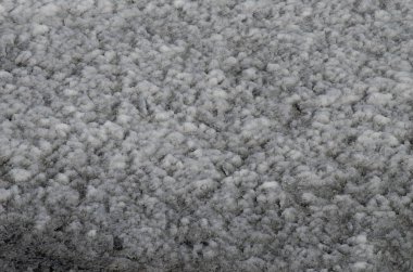 Kış manzarası, karla kaplı orman