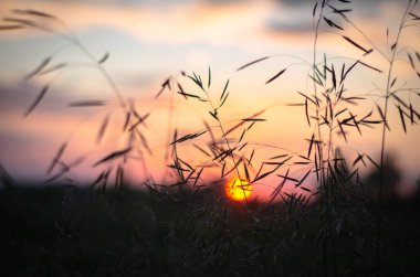 Gün batımlı güzel doğa arka planı