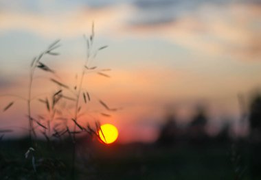 Gün batımlı güzel doğa arka planı