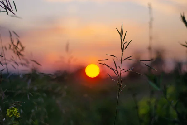 Όμορφη Φύση Φόντο Ηλιοβασίλεμα — Φωτογραφία Αρχείου