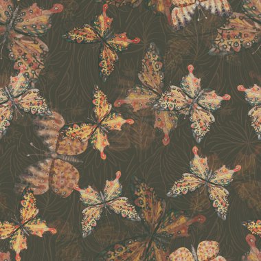 Kelebek resimlerinin kusursuz deseni