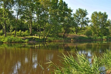 Yazın güzel bir göl, kırsal manzara 